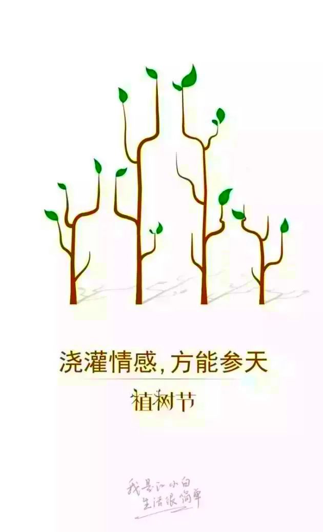 植树节文案10句，超有创意！