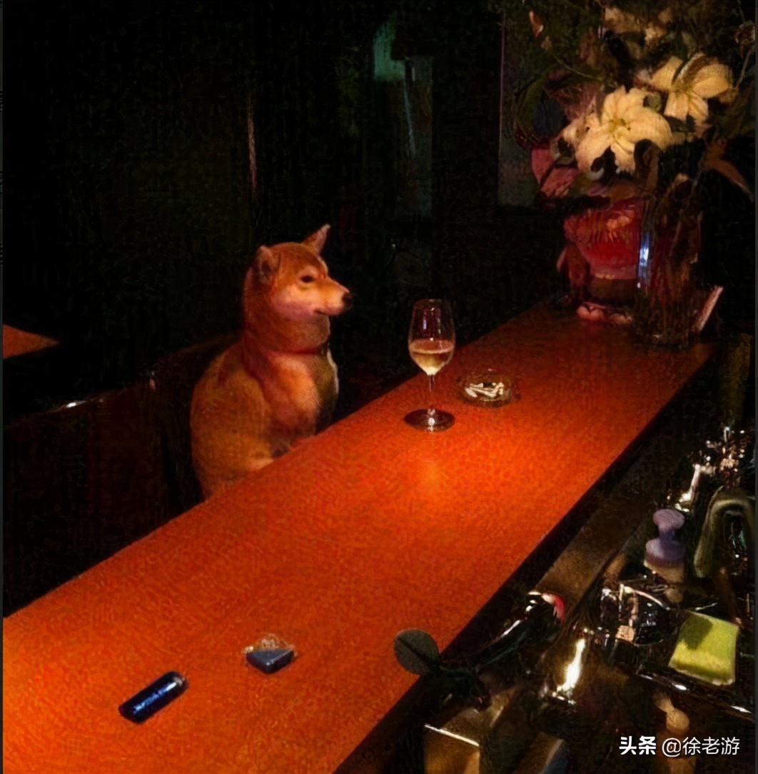双十一是什么节日（双十一由来介绍）