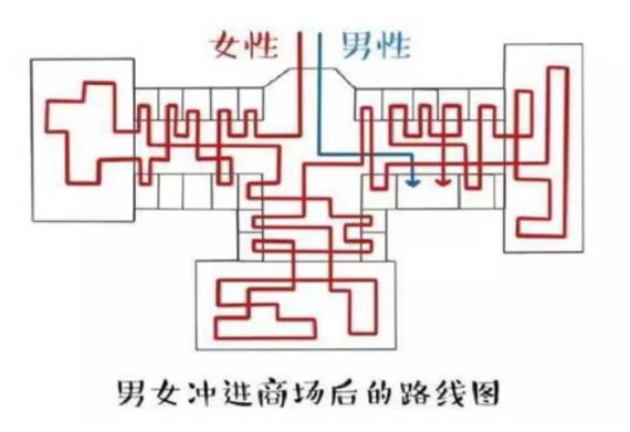 成都狗市场在哪2016