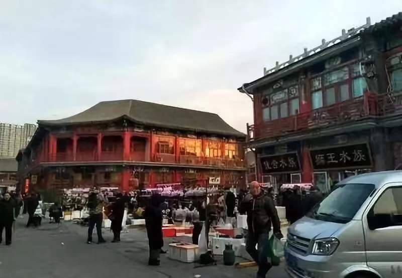 成都狗市场在哪2016