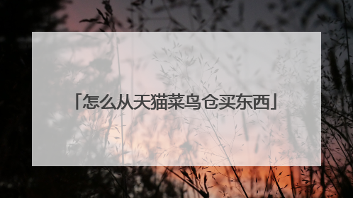 怎么从天猫菜鸟仓买东西