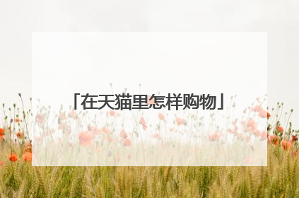 在天猫里怎样购物